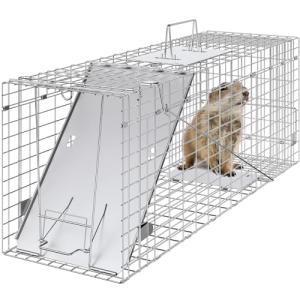 Humane Live Animal Trap for Cats and More