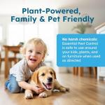 BugMD 32 oz Natural Ant and Bug Killer