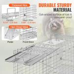 Humane Live Animal Trap for Cats and More