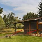 6 Pack Solar Outdoor Squirrel and Animal Repellers