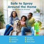 BugMD 32 oz Natural Ant and Bug Killer