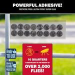 Catchmaster Window Fly Traps 12-Pack, Fruit Fly Traps for Indoors, Disposable Bulk Bug Catcher, Waterproof Insect Glue Trap, Adhesive Strips, Pet Safe Pest Control for Home, Kitchen, & Garage