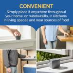 Hot Shot Discreet Flying Insect Trap 6 Count