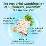 BugMD Vamoose Rodent Repellent Pouches (1 Pack, 4 Pouches) Plant-Powered Rat Repellent, Mouse Deterrent, Indoor & Outdoor Mice Repellent, Best Mouse Repellent, Natural Rat & Mouse Repellent