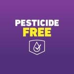 Ortho Max Bed Bug Trap - 2 Pack