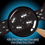 Ant Killing Gel for Indoor and Outdoor Use