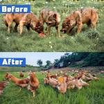 Lulu Home Solar Animal Repeller - 4 Packs