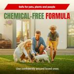 Natural Cinnamon Pest Control Spray - 32 Oz