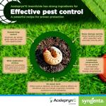 Syngenta Acelepryn G | Grub Treatment for Lawn, Turfgrass and Rose Bush | Insect Killer with 0.2% Chlorantraniliprole Kills White Grubs, Caterpillars, Japanese Beetle Adults – 25 lb