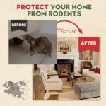 10PCS Mouse Repellent Balls, Peppermint Oil Pepper Spray - Cat Squirrel, Mouse, Rat & Mosquito Repellent for Indoor/Outdoor, rv Essentials, Garage; Alternative to Traps & Mothballs