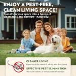 10PCS Mouse Repellent Balls, Peppermint Oil Pepper Spray - Cat Squirrel, Mouse, Rat & Mosquito Repellent for Indoor/Outdoor, rv Essentials, Garage; Alternative to Traps & Mothballs