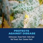 BioAdvanced Fungus Control for Lawns, Ready-to-Spray Fungicide for Lawns, 32 oz