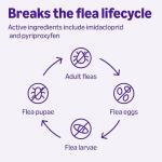 Amazon Basics Flea Treatment for Large Cats