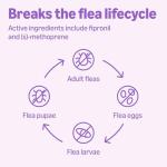 Amazon Basics Flea and Tick Treatment for Dogs