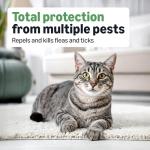 Amazon Basics Flea and Tick Topical Treatment for Cats (Over 1.5 Pounds), 6 Count (Previously Solimo)