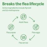 Amazon Basics Flea and Tick Topical Treatment for Cats (Over 1.5 Pounds), 6 Count (Previously Solimo)