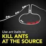Raid Ant Killer Baits - Kills Ants for 3 Months