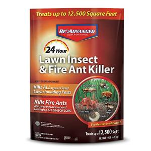 BioAdvanced 24-Hour Lawn Insect & Ant Killer Granules