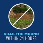 BioAdvanced 24-Hour Lawn Insect & Ant Killer Granules