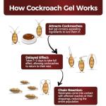 72 Pack Roach Bait Gel Stations for Homes