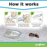 Syngenta Advion Ant Gel Bait Stations - 3 Pack