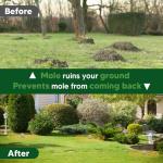 Pet Safe Mole and Gopher Repellent for Lawns