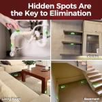 72 Pack Roach Bait Gel Stations for Homes