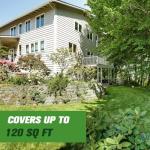 Natural Mole Repellent for Safe Lawn & Garden