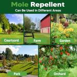 Pet Safe Mole and Gopher Repellent for Lawns