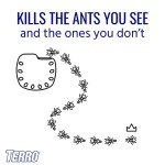 TERRO Indoor Ant Bait Stations - Kills Ants Fast