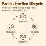 Amazon Basics Flea, Tick & Mosquito Topical Treatment for Large Dogs (21-55 pounds), 6 Count (Previously Solimo)