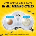 Combat Max Ant Bait Station - 4 Pack