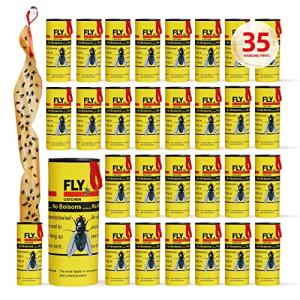 Indoor and Outdoor Fly Traps - 35 Pack