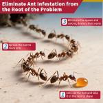 Ubalun Ready-to-Use Ant Gel Bait - 30g