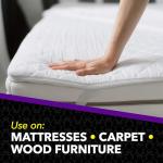 Raid MAX Bed Bug Foaming Spray, 17.5 oz