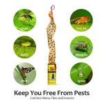 Indoor and Outdoor Fly Traps - 35 Pack