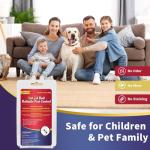 Ubalun Ready-to-Use Ant Gel Bait - 30g