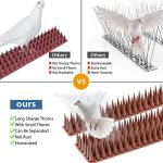 20 Pack Bird Deterrent Spikes for Outdoor Use