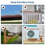 20 Pack Bird Deterrent Spikes for Outdoor Use