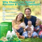 Peppermint Raccoon and Skunk Repellent Balls, 36 Pack