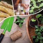 PID Heat Mat Thermostat for Reptiles and Plants