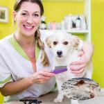 Yumflan Flea Comb for Dogs and Cats, Purple