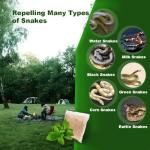 Snake Repellent for Yard Powerful, Snake Deterrent, Snake Away Repellent for Outdoors, Natural Safe for Children and Pets, Snake Deterrent for Yard, Effectively Snake Repellant Garden and Home - 10P