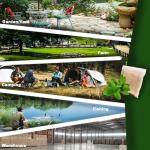 Snake Repellent for Yard Powerful, Snake Deterrent, Snake Away Repellent for Outdoors, Natural Safe for Children and Pets, Snake Deterrent for Yard, Effectively Snake Repellant Garden and Home - 10P