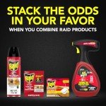 Raid Ant Baits, Child Resistant Indoor Killer, 8 Count