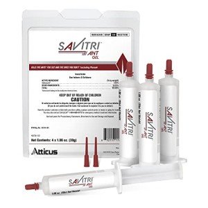 Savitri Ant Gel Bait for Indoor and Outdoor Use