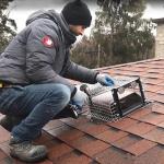 Artowell Raccoon One Way Eviction Door - Raccoon Trap Contactless Excluder for Outdoor Spaces Like Attics, Chimneys & Under Decks. Fast Results, Easy DIY Installation Large