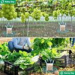 12 Pack Natural Skunk Pouches, Skunk Raccoon Repellent Pouches for Outdoor Yard Garden House | Long-Lasting Protection | Safe for Dogs and Children