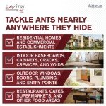 Savitri Ant Gel Bait for Indoor and Outdoor Use