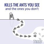 TERRO Outdoor Liquid Ant Bait Stakes - 12 Count